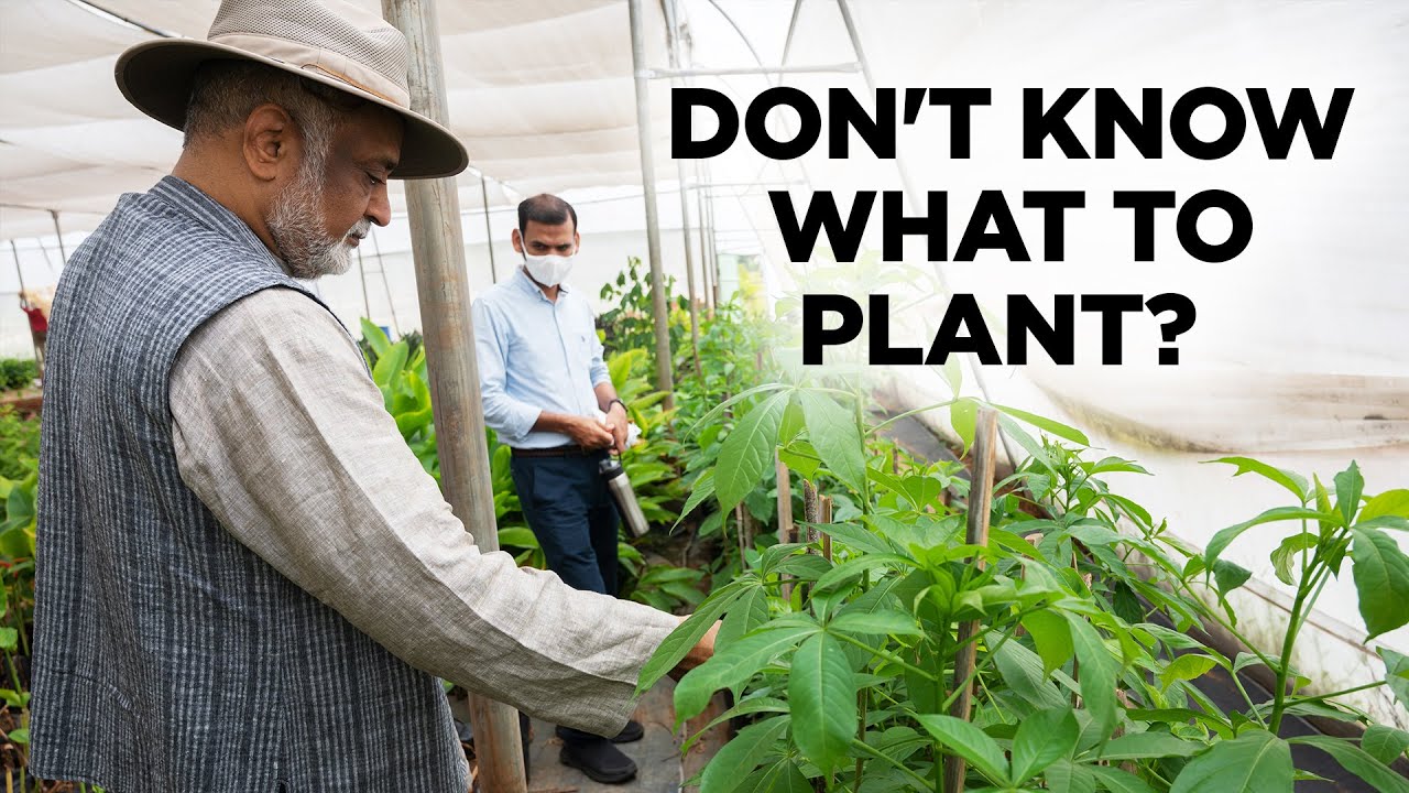 Simple trick to double your crop yields | Farming tips | Agriculture