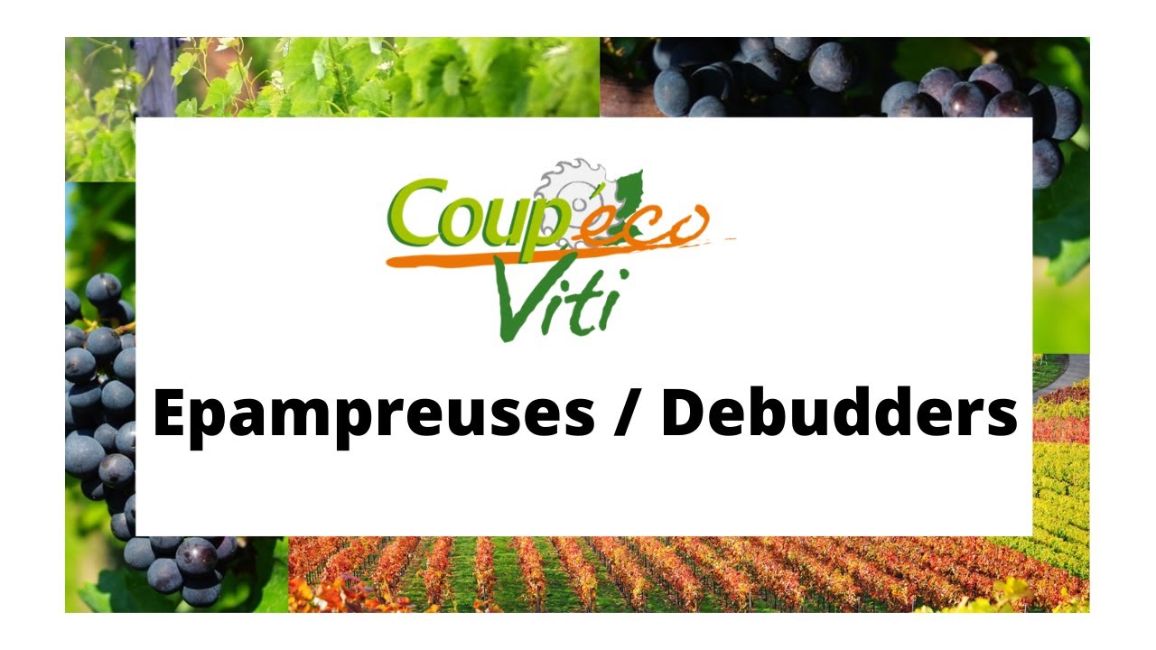 EPAMPREUSES / DEBUDDERS COUP'ECO VITI