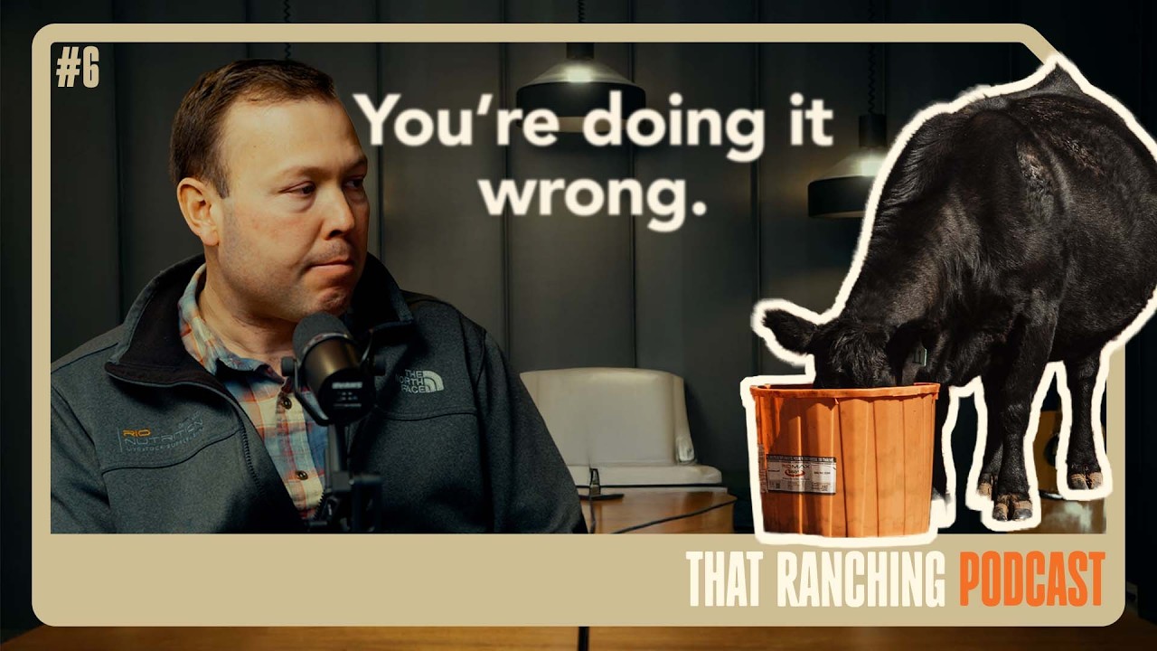 Would You Lick Ice Cream in a Blizzard? (Your Cows Think the Same Way) | #6 | THAT RANCHING PODCAST