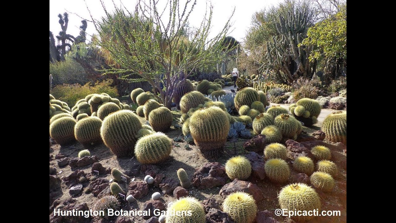 Huntington Botanical Gardens Tour
