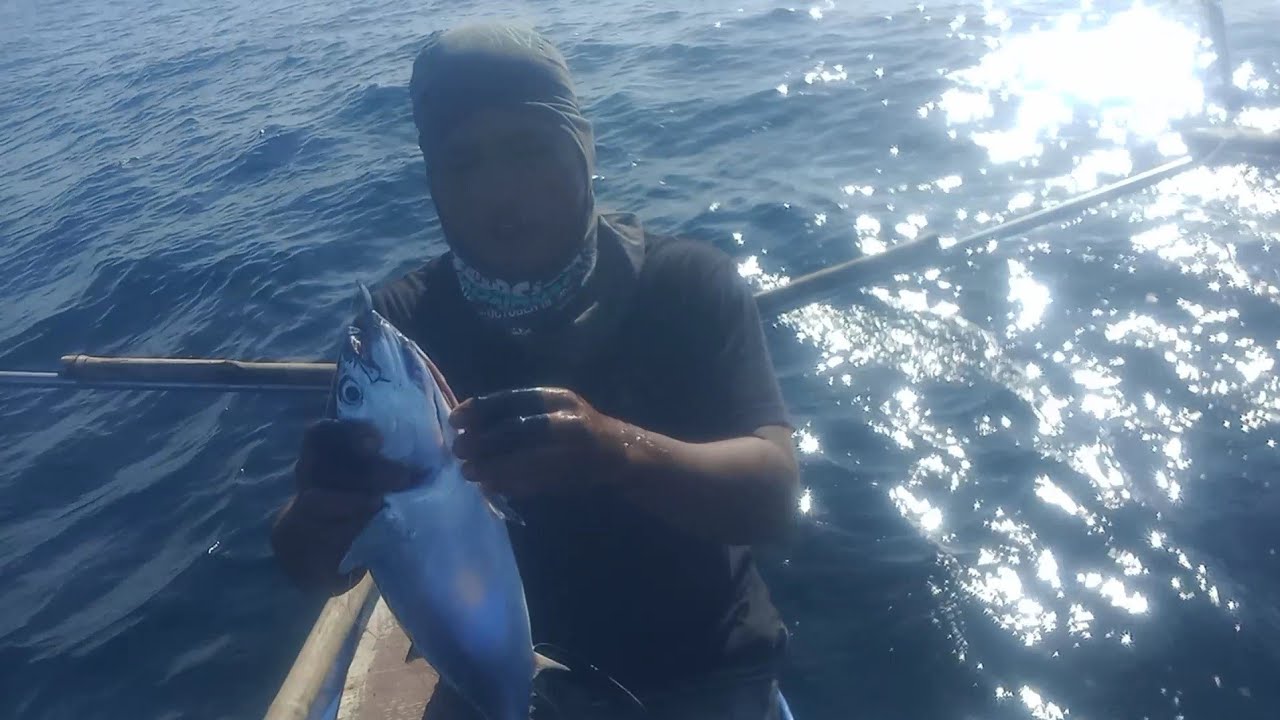 Napaka effective talaga nag bitok bitok sunod sunod ang dawi ng skipjack tuna