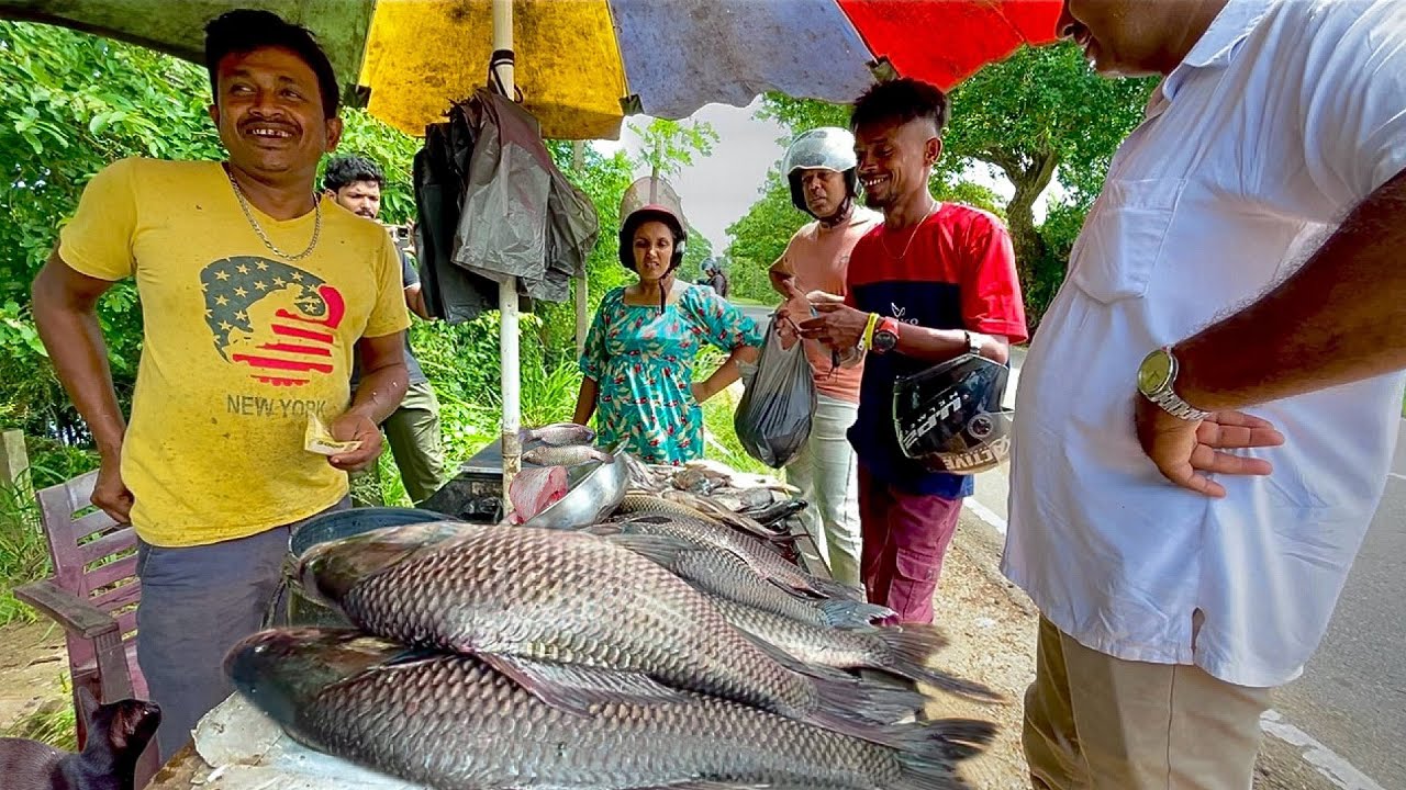 Unimaginable! Real Struggle of Sri Lankan Fishmonger's - Must Watch!