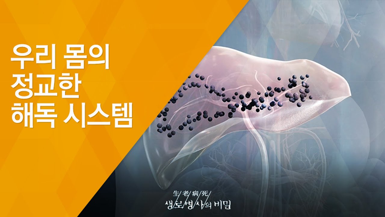 우리 몸의 정교한 해독 시스템 - (20130904_472회 방송)_내 몸에 독이 쌓인다 2부, 몸의 혁명, 해독