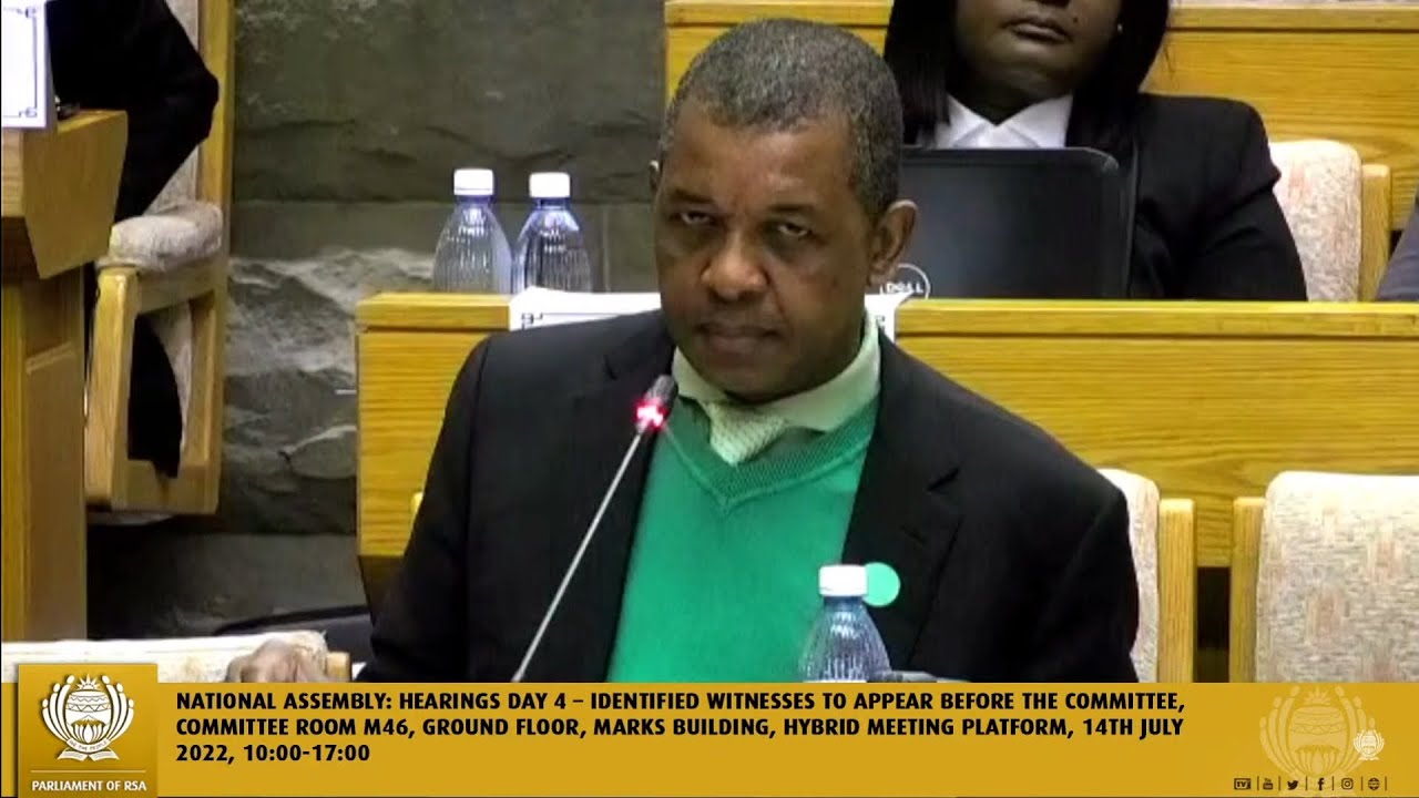 Adv Dali Mpofu vs Johan Van Loggerenberg, Mkhwebane Inquiry.
