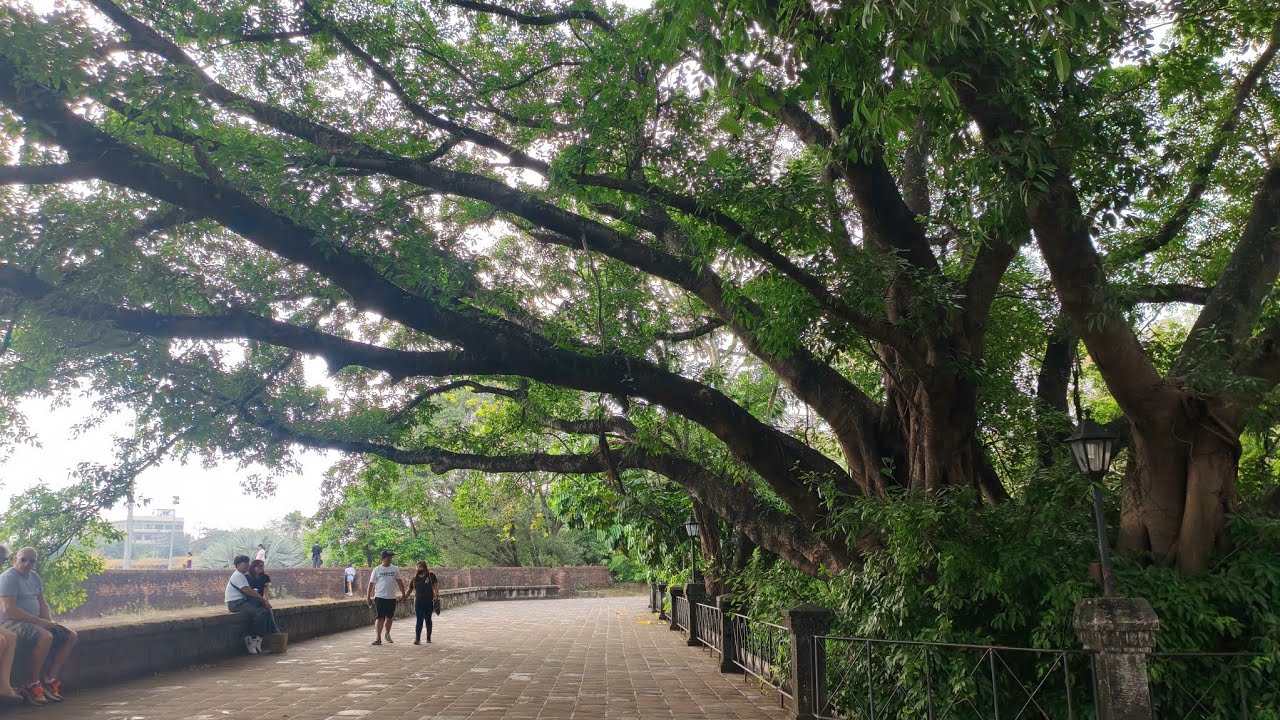 PUERTA REAL GARDENS (Intramuros, Manila) 