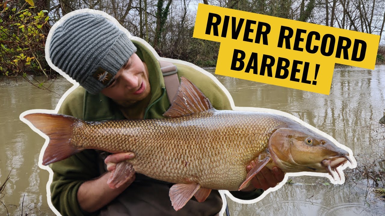 🏆 My Biggest Barbel EVER – A River Record Story! 🎣