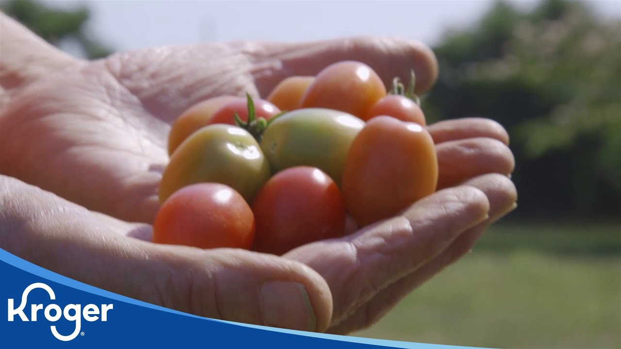 Lewis Taylor Farms | Kroger Partners | Kroger