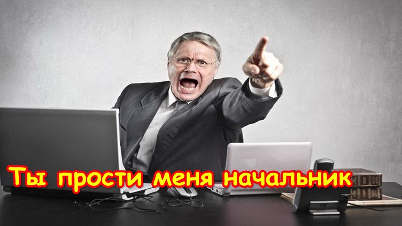 Ты прости меня начальник - Шеваловский Александр
