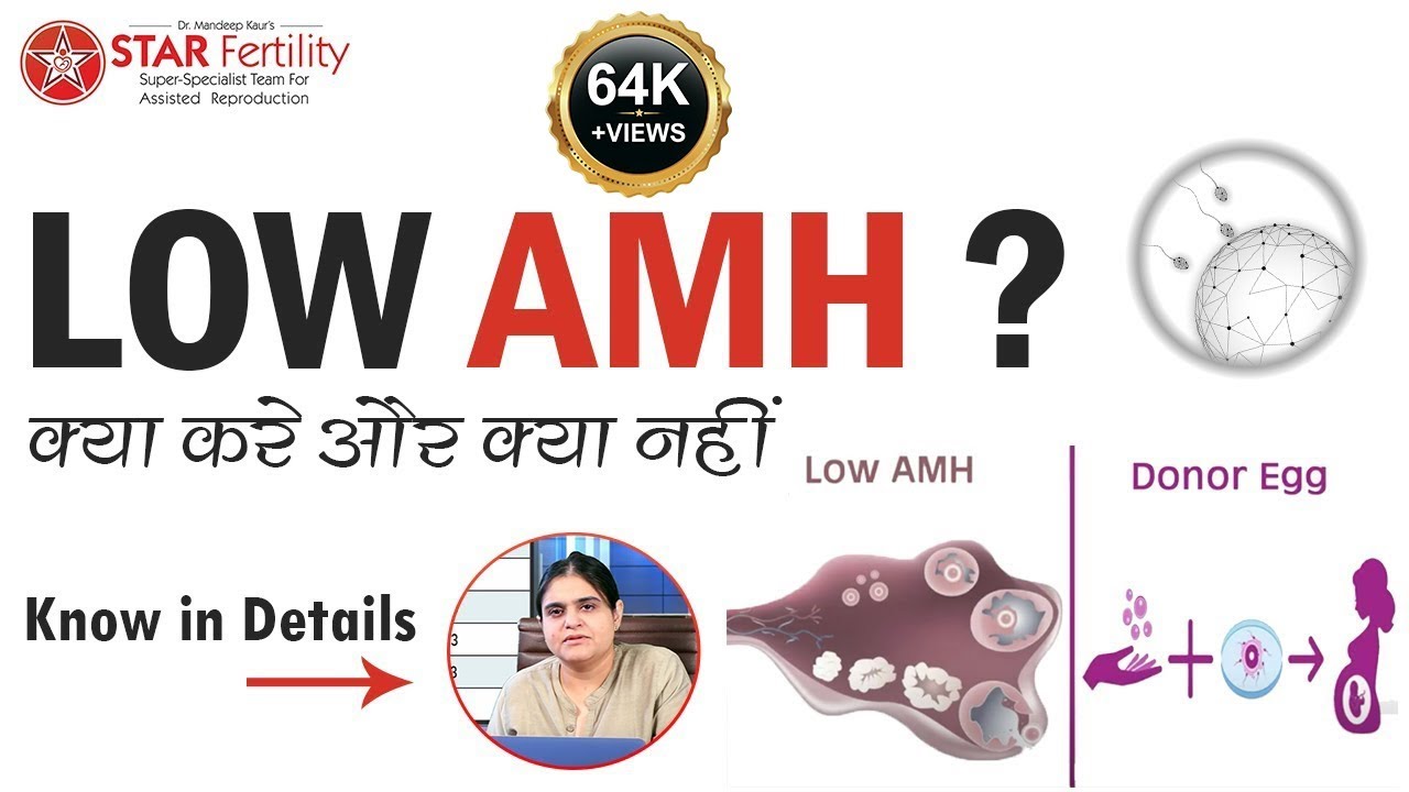Egg donation in IVF, Egg Donation/ Donor Egg Program, एग डोनेशन प्रक्रिया से जुड़ी जरूरी जानकरियाँ
