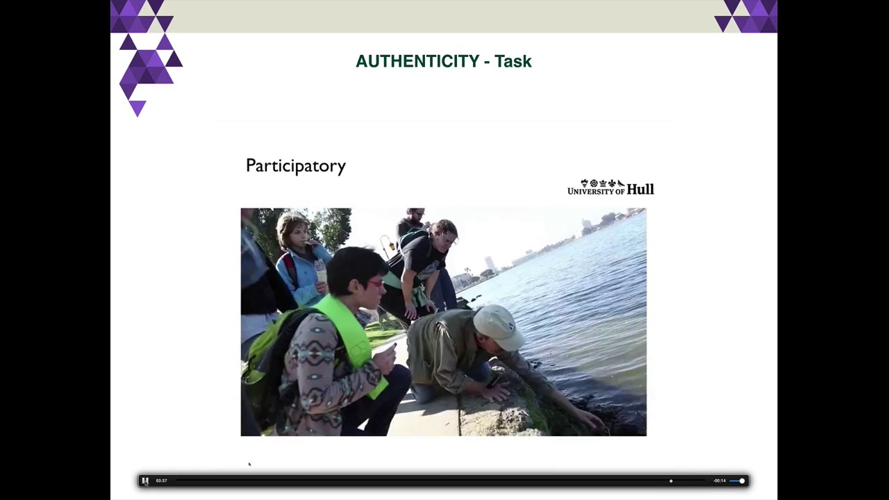 iPAC - Authenticity: sub constructs Task and Tool