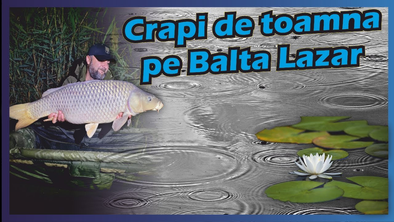 Crapi de toamna pe Balta Lazar Alexandria