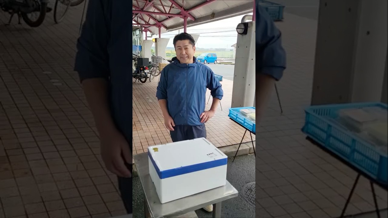 【うお一番】かねこのお店の鮮魚BOXを開封していくよ！ #へんな魚おじさん #きまぐれクック  #うお一番