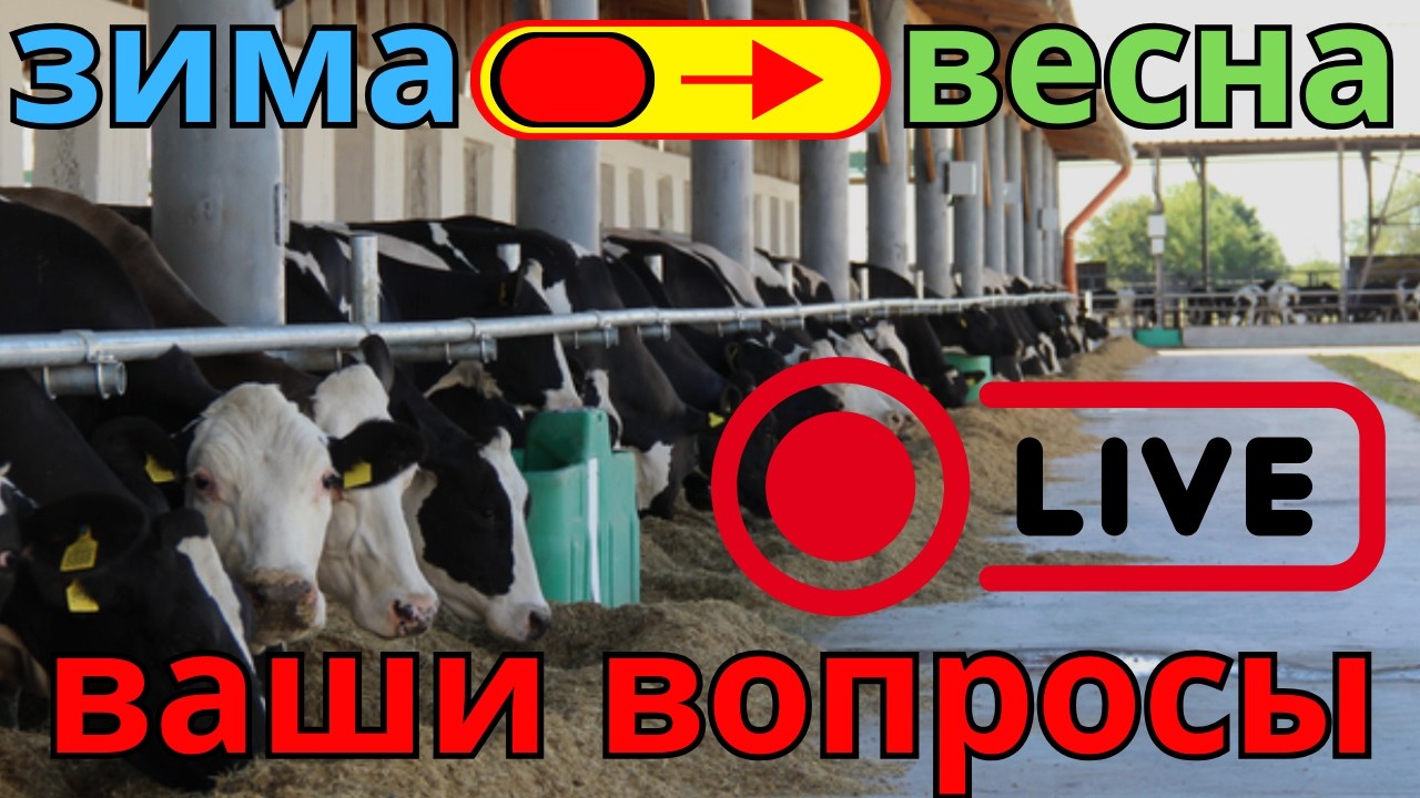 последние дни зимы. что дальше?