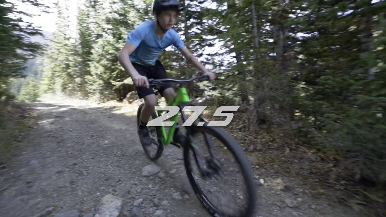 The Maxwell 26 Plus | Trailcraft Cycles