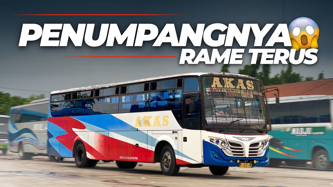 GAK HERAN KALO BUMELAN INI SELALU DICARI PENUMPANG⁉️ Trip Akas 1 Banyuwangi - Probolinggo