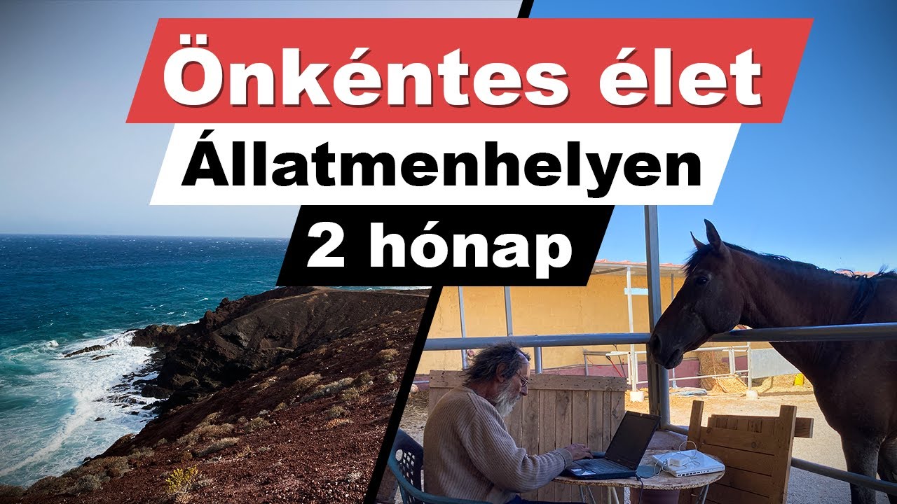 Önkéntes munka, állatmenhely, Kanári-szigetek, Workaway