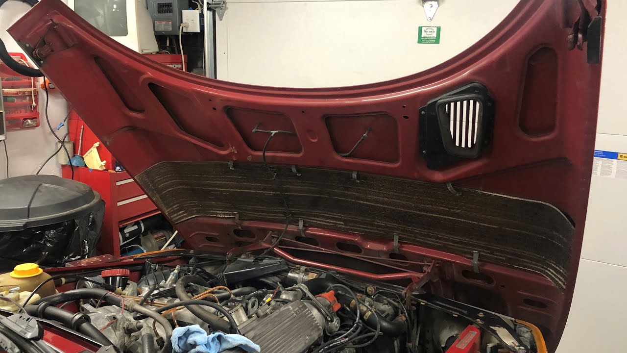 1/1/21 SAAB 900 Update, New Years, My Neighbors, And Car Shopping With My Sister