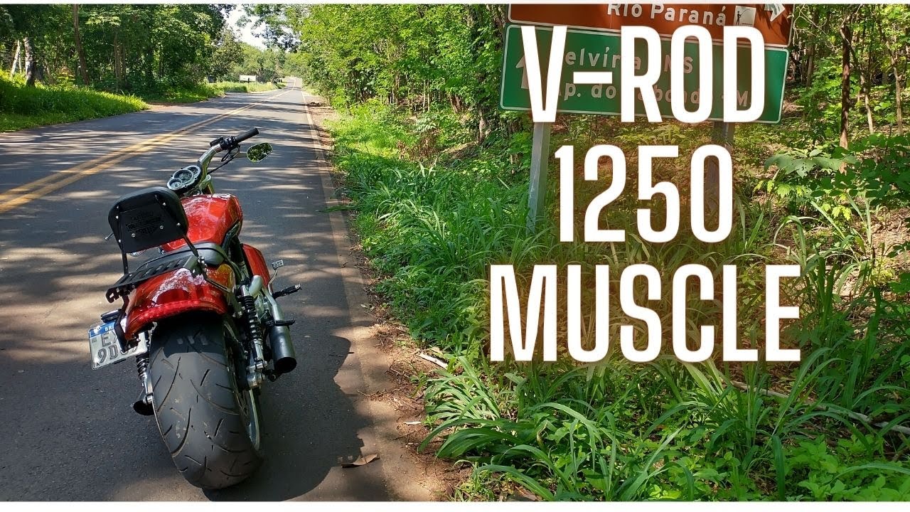 V-Rod 1250 Muscle Primeiras Impressões