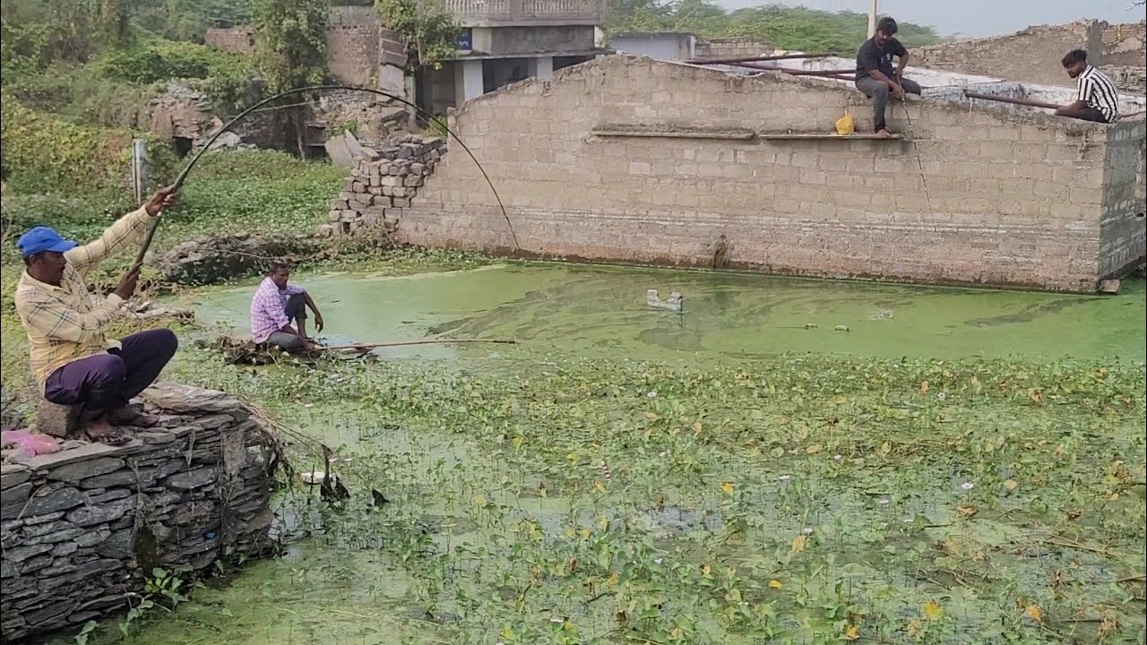 Krishna River🎣 OLD HOME IT FISHING TIME to Catching Rohu Fishes Single Hook Flot Fishing 