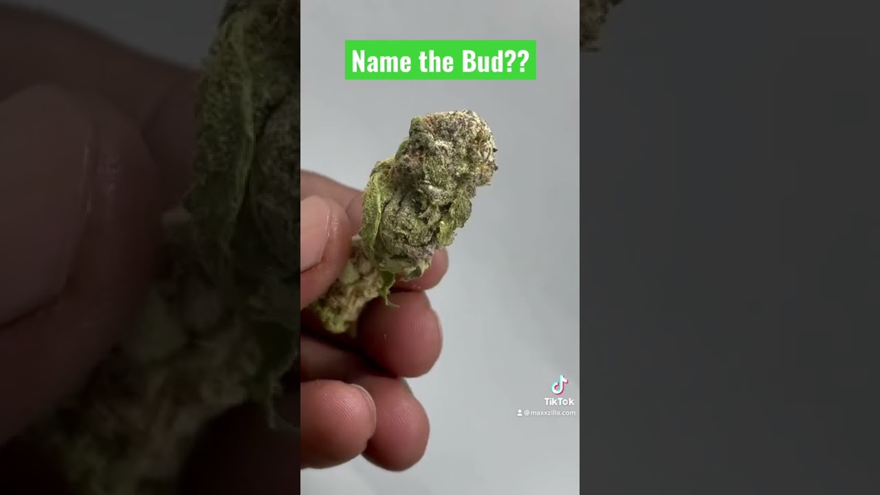 Can you &ldquo; Name the Bud?? #cannabis #enthusiast