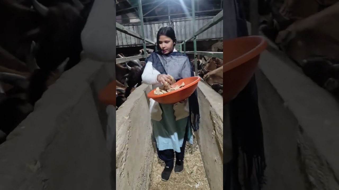 गौ माता से प्यार करने वाले प्लीज़ सब्सक्राइब करना मेरे दोस्त 🙏🙏🙏 ytstidio #Motivation 