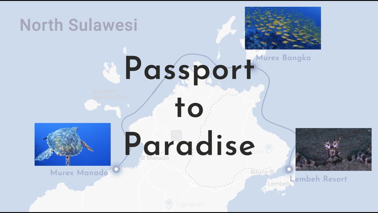 Passport to Paradise: Scuba diving & snorkeling Bunaken - Bangka - Lembeh in Indonesia.