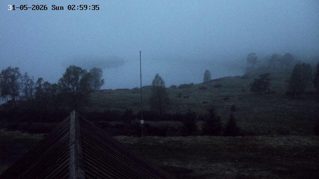 Mosvatnet LIVE