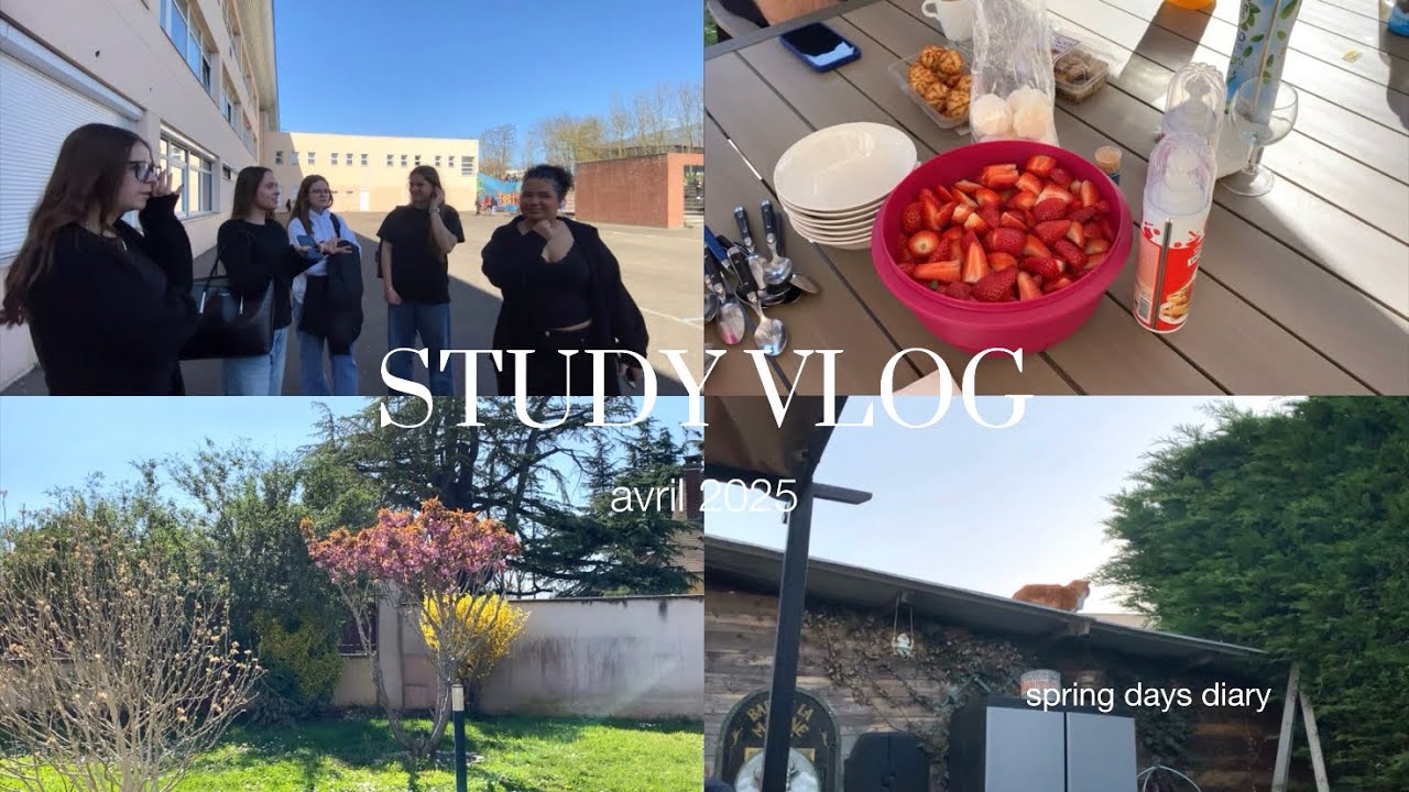 study vlog : une semaine dans ma vie au lycée (copines, barbecue,…)