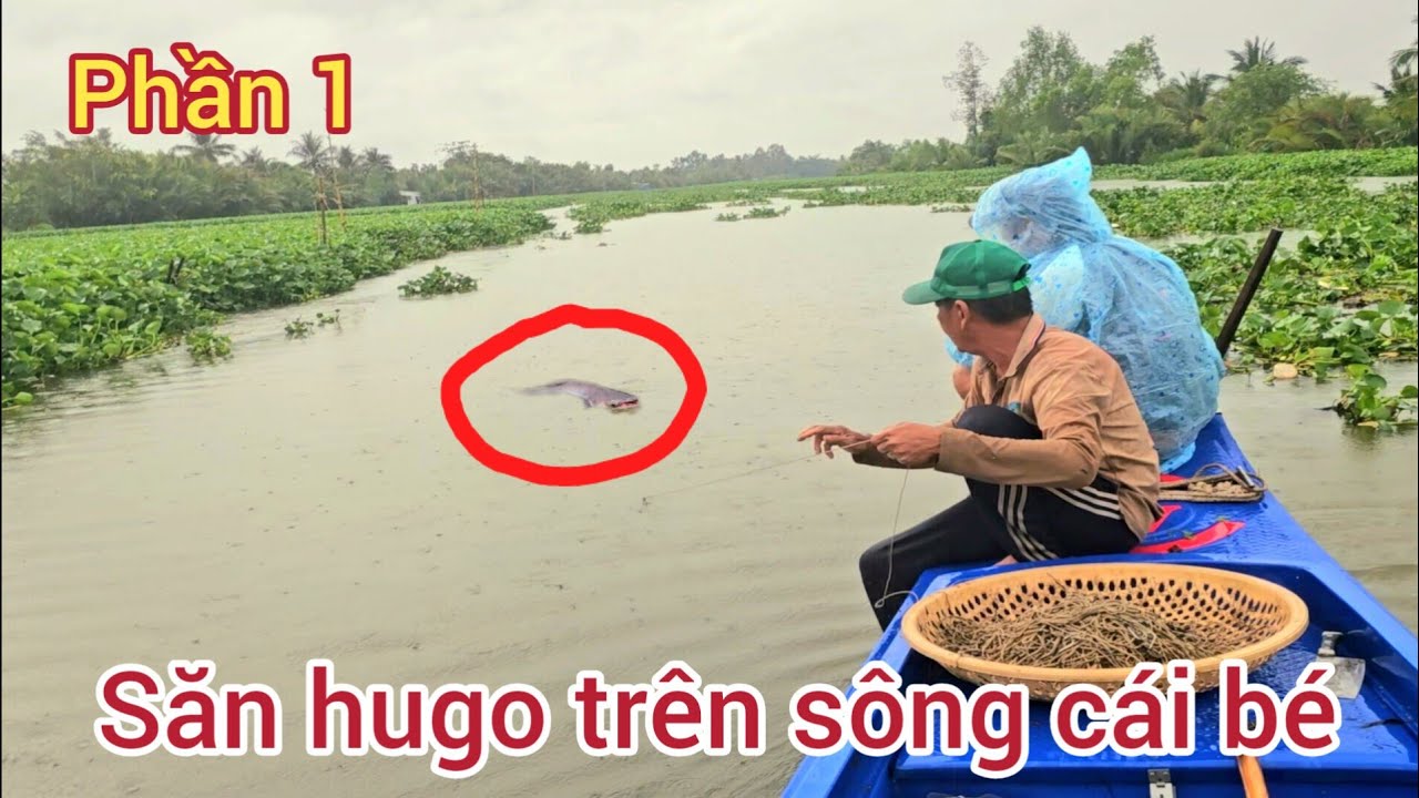16 l Trải nghiệm giăng câu cá tra ở sông cái bé P1
