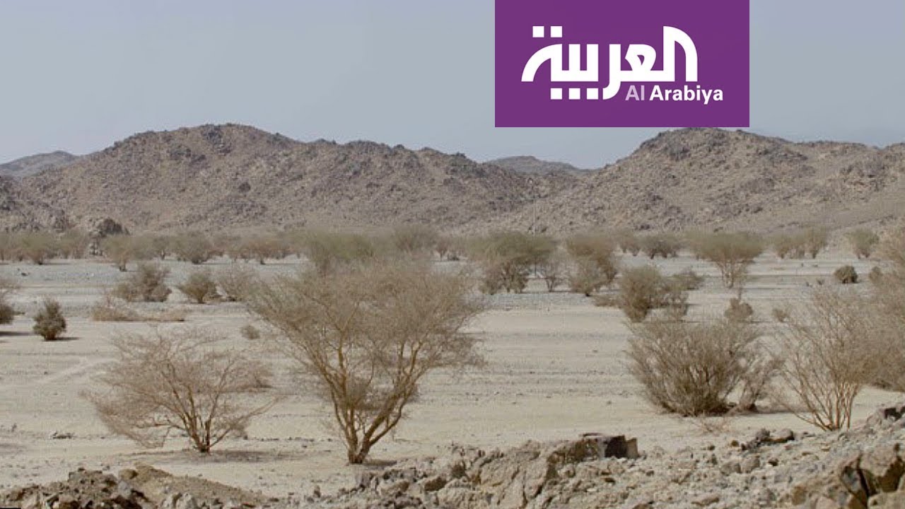 على خطى العرب: العشاء لحماً وقمحاً - الحلقة 13