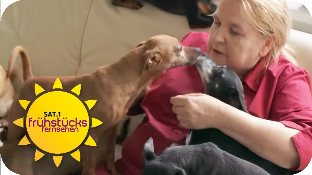 Die Hunderetterin der Eifel: ohne sie hätten die Hunde keine Chance! | SAT.1-Frühstücksfernsehen