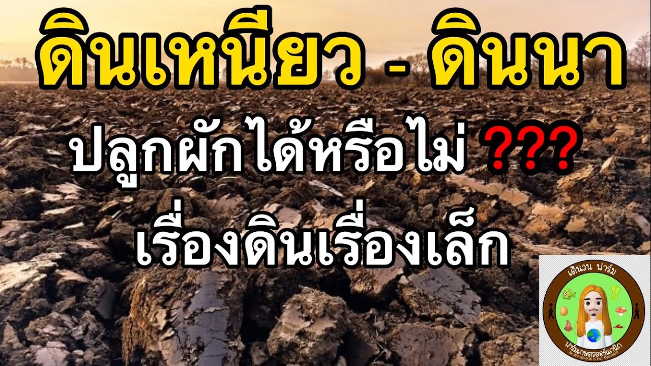 แนะนำวิธีปรับสภาพดินเหนียวให้ปลูกผักได้ อยากปลูกผักกินเองคลิปนี้มีคำตอบ