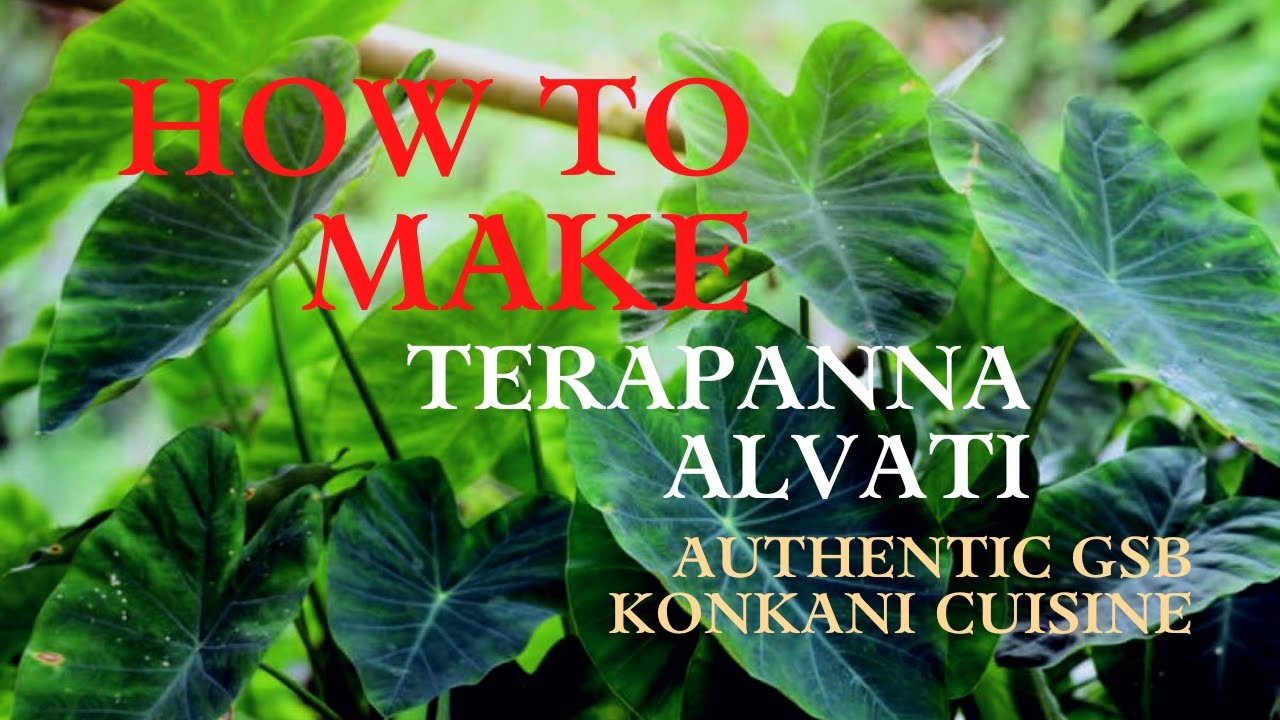 Terapanna Alvati (Colocasia Stem in mildly Spicy Coconut based Stew) - Authentic GSB Konkani Cuisine