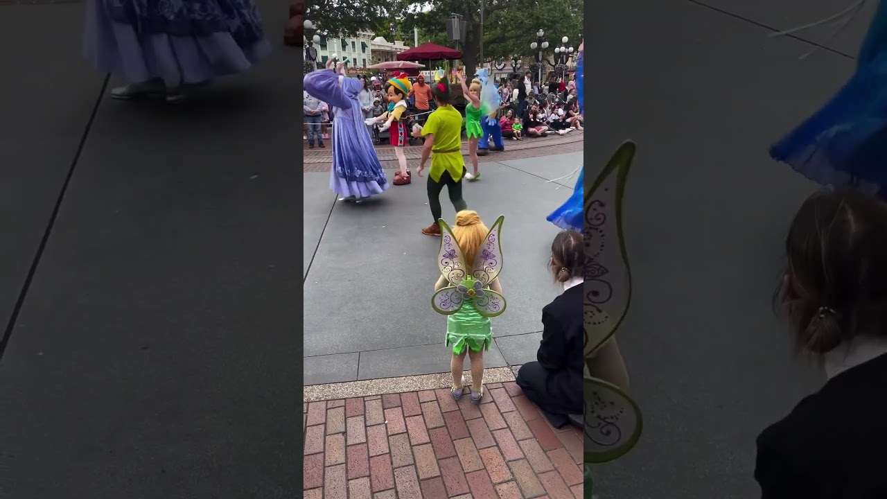 Esta ni&ntilde;a fue a conocer a esta hada en un desfile 👏