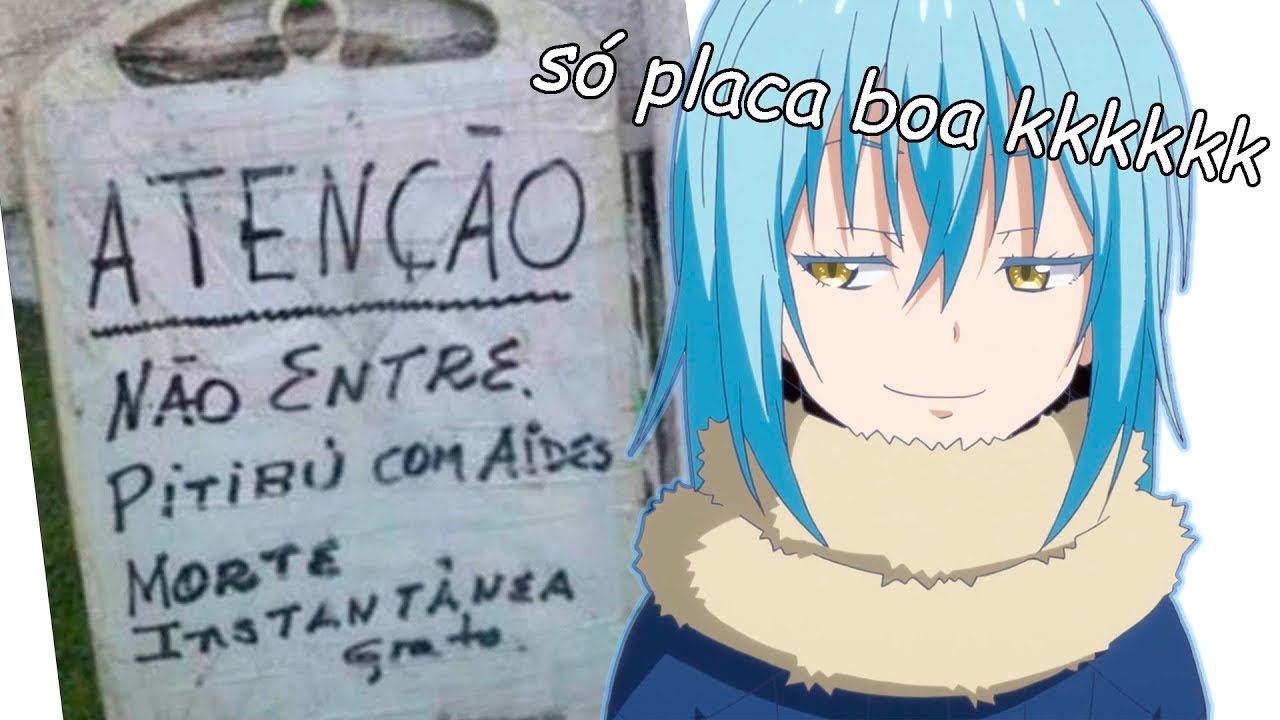 SE TEM PLACA TEM HISTÓRIA 🤣