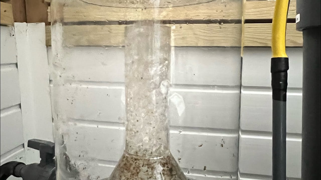(Prt1) Fitted a Sander 200 Freshwater protein skimmer