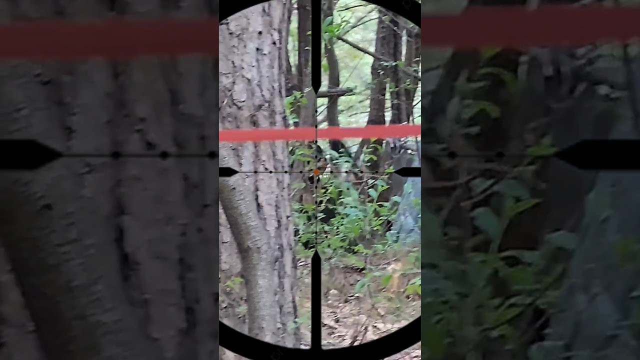 배틀필드 시즌13 스나 플레이 주최 @Molcom_airsoft 사용장비 @novritsch  #ssg10 #airsoft #sniper