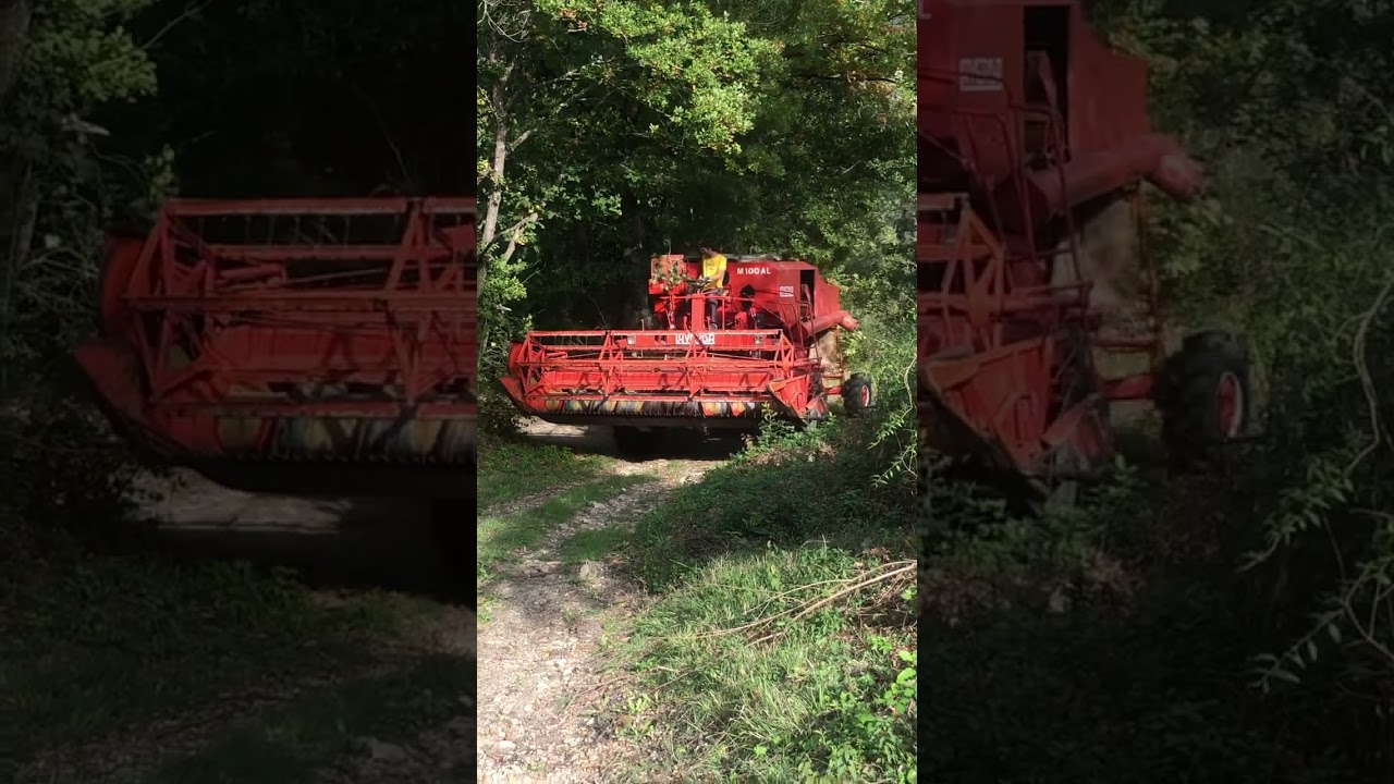 Laverda 100 autolivellante è un pezzo unico che ha fatto la storia.. ora è nostra 😍