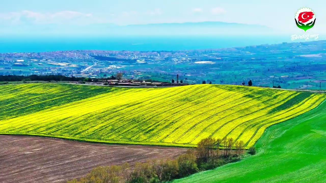 TEKİRDAĞ KANOLA 2025