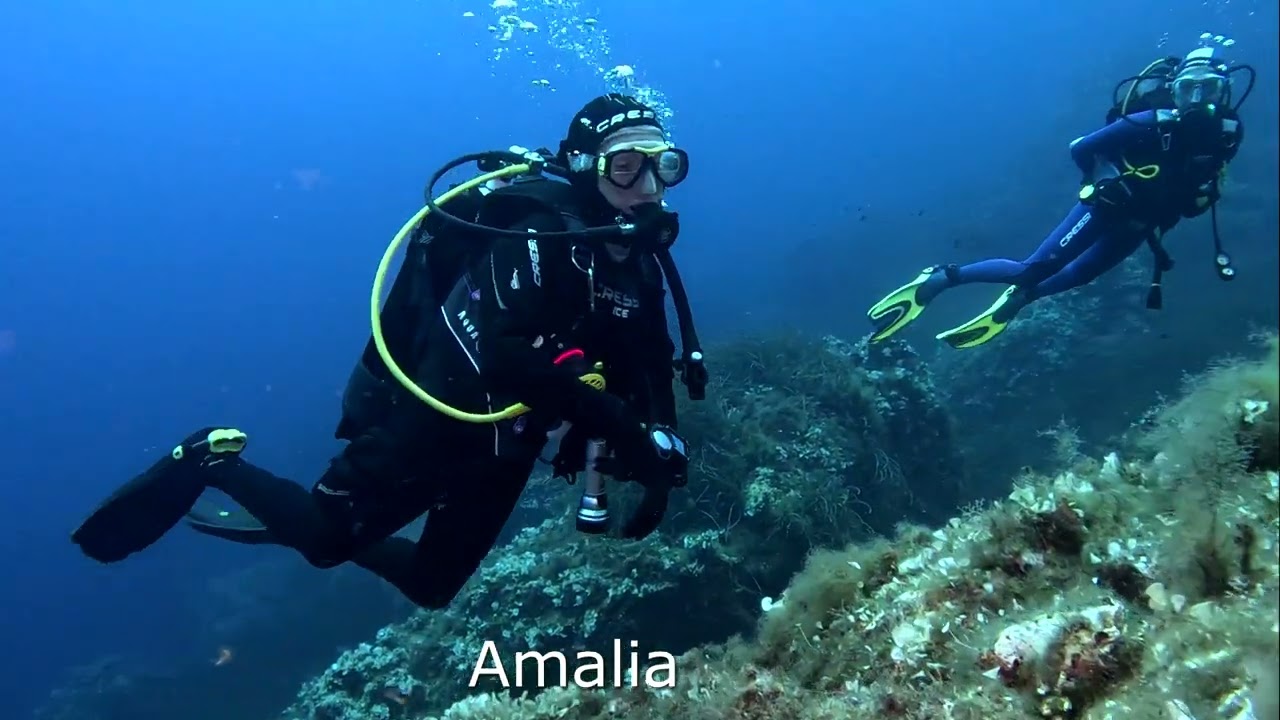 Ustica 3 agosto 2024 XII immersione con Altamarea