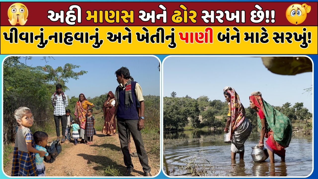 જ્યાં પાણી છે. પણ, પીવાનું પાણી મળતું નથી ને યોજનાઓ છે. પણ, પહોંચતી નથી.| KRSF |