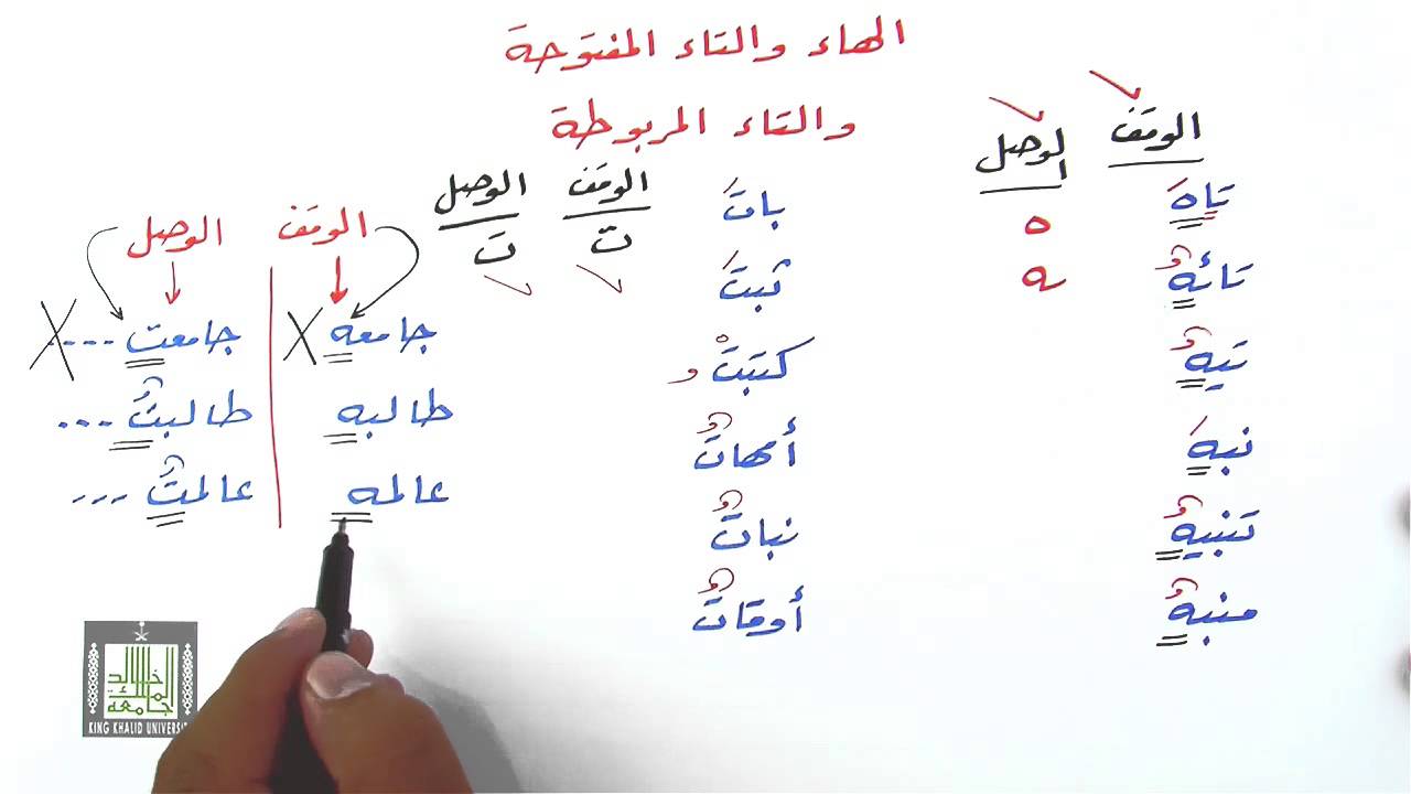 التاء المربوطة  والتاء المفتوحة والهاء
