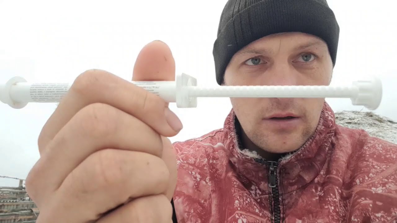 Осенняя  глистогонка лошадей. Средство от глистов.