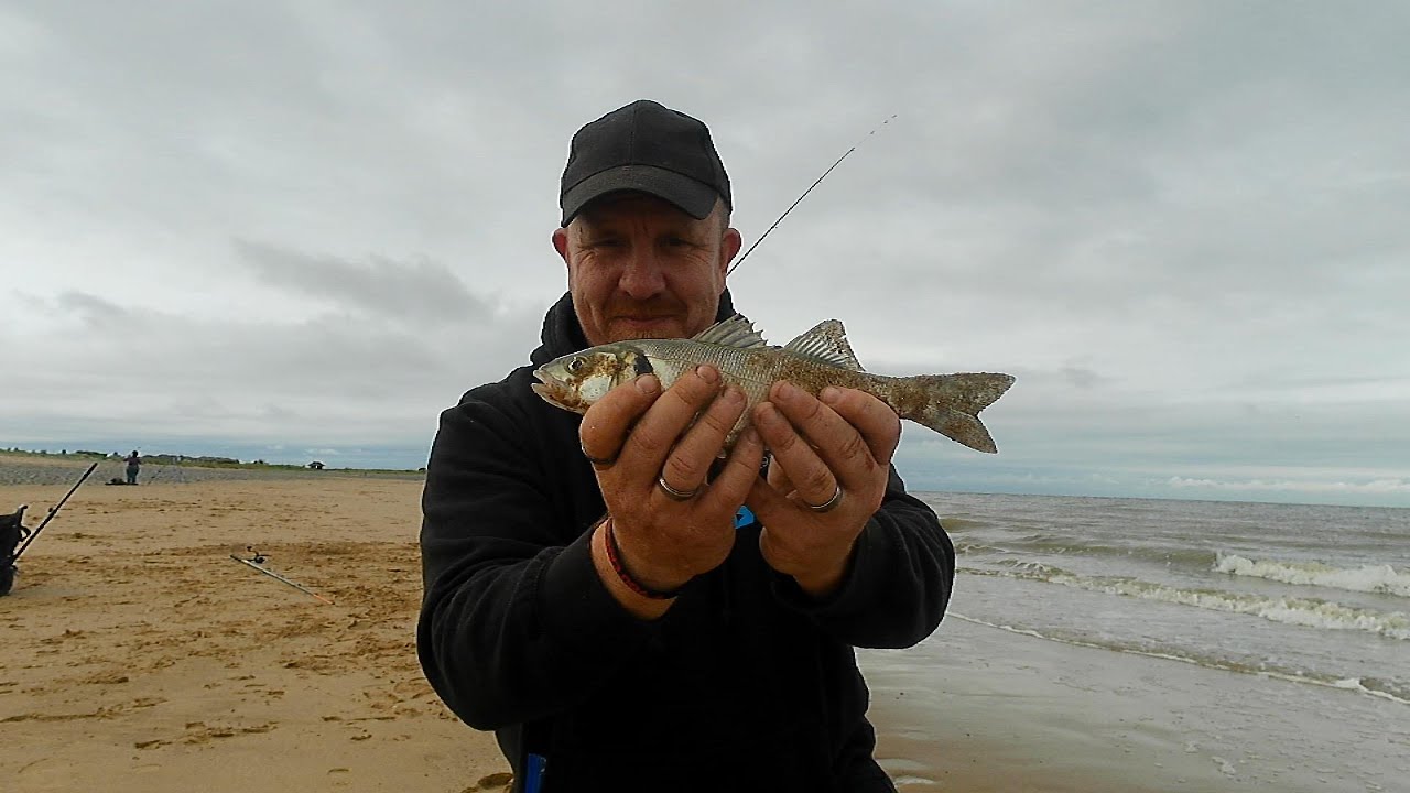 Bass at Fleetwood July 2024 - Sea Fishing Uk with my boys!