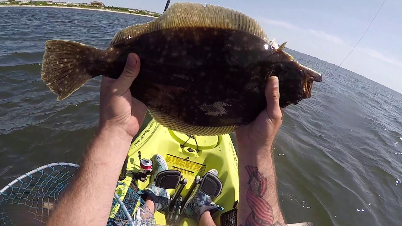 Kayak Fluke fishing