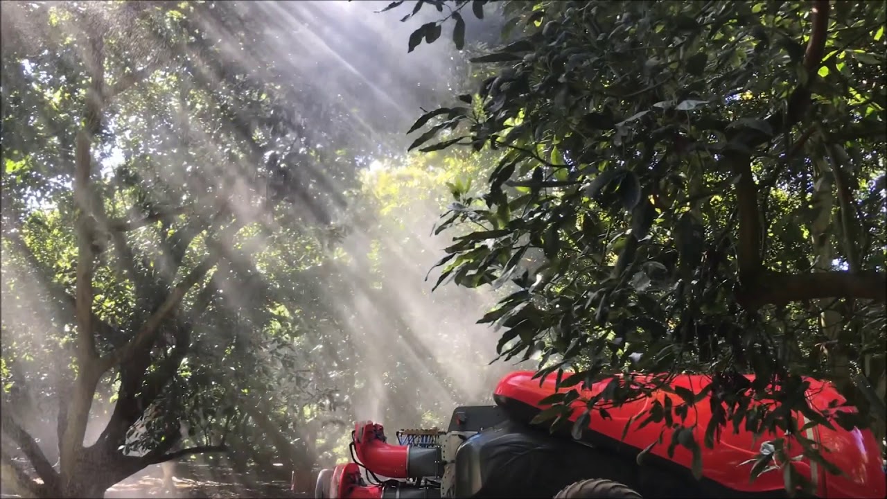 Electrostatic Sprayer (Avocado Spraying) pulverizador electrostático