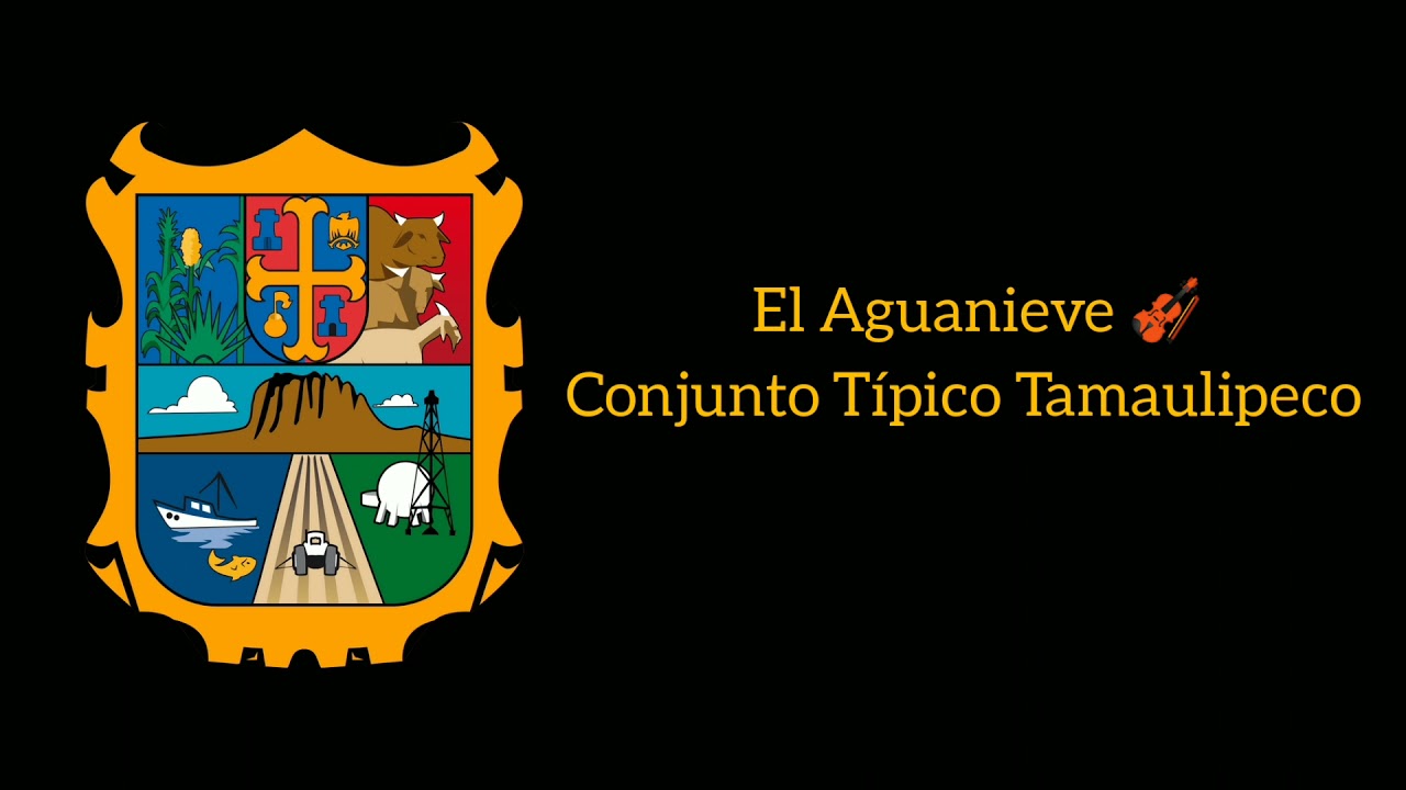 El Aguanieve 🎻 (Huapango Huasteco) - Conjunto Típico Tamaulipeco