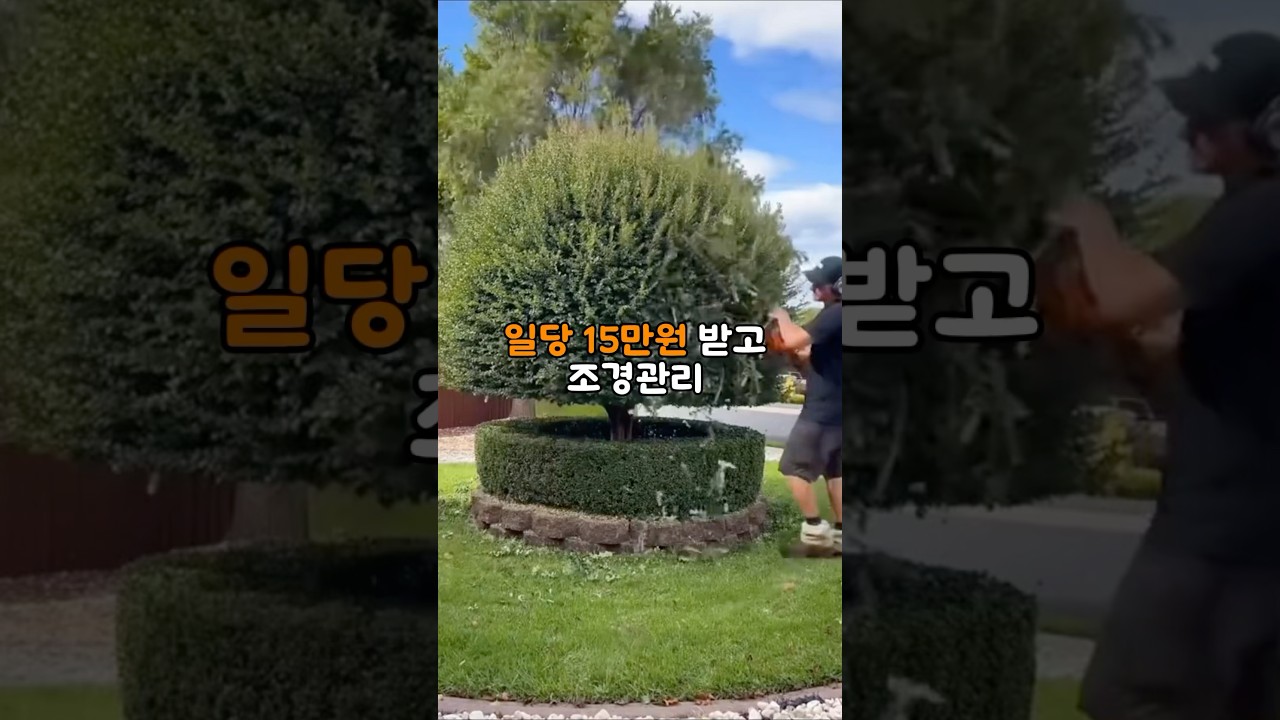 시골에서 일당 15만원 받고 아르바이트 했다가 충격적인일을 겪었습니다.