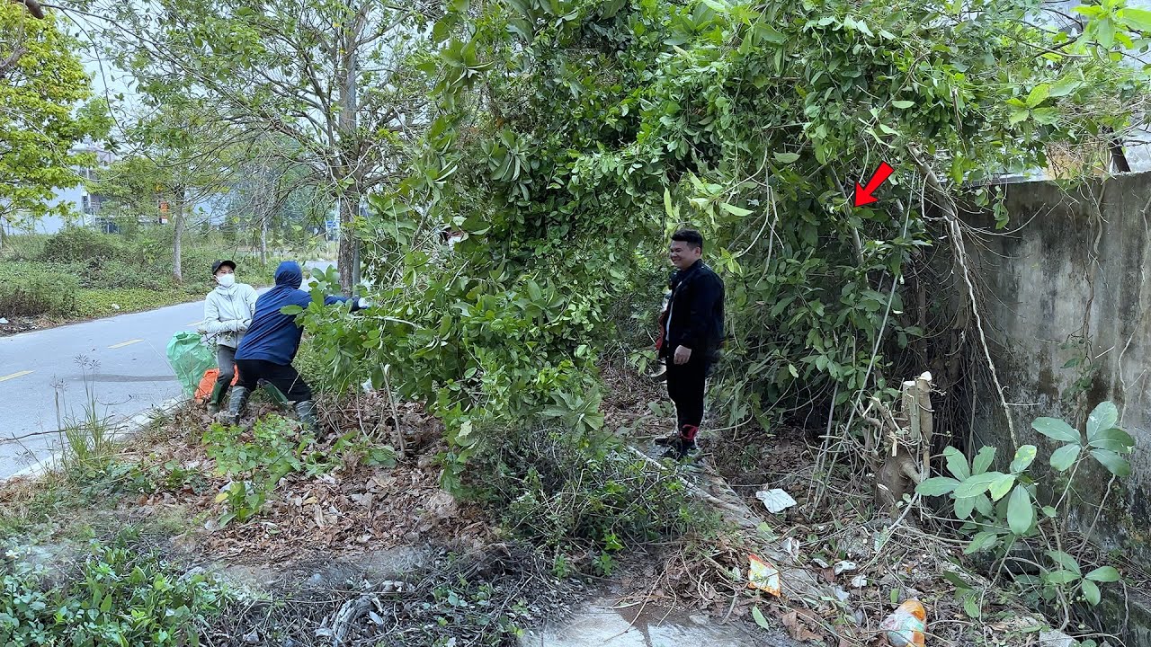 Хозяин земли не поверил, что мы сможем расчистить страшный, заросший тротуар