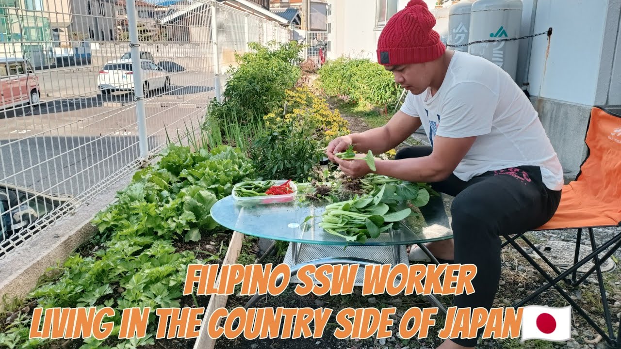 Country side of Japan 🇯🇵/gardening /cooking/squash soup/groceries /Hiraki market in Japan /OFW life